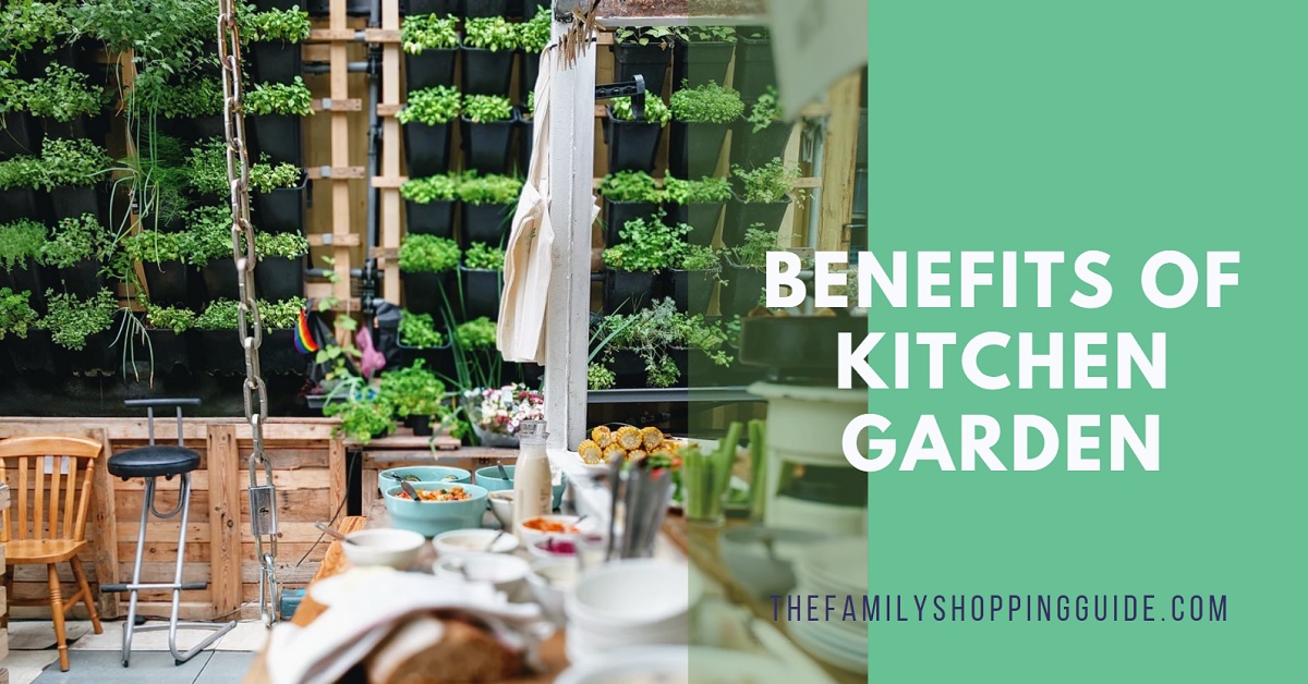 Benefits of Kitchen Garden The Family Shopping Guide